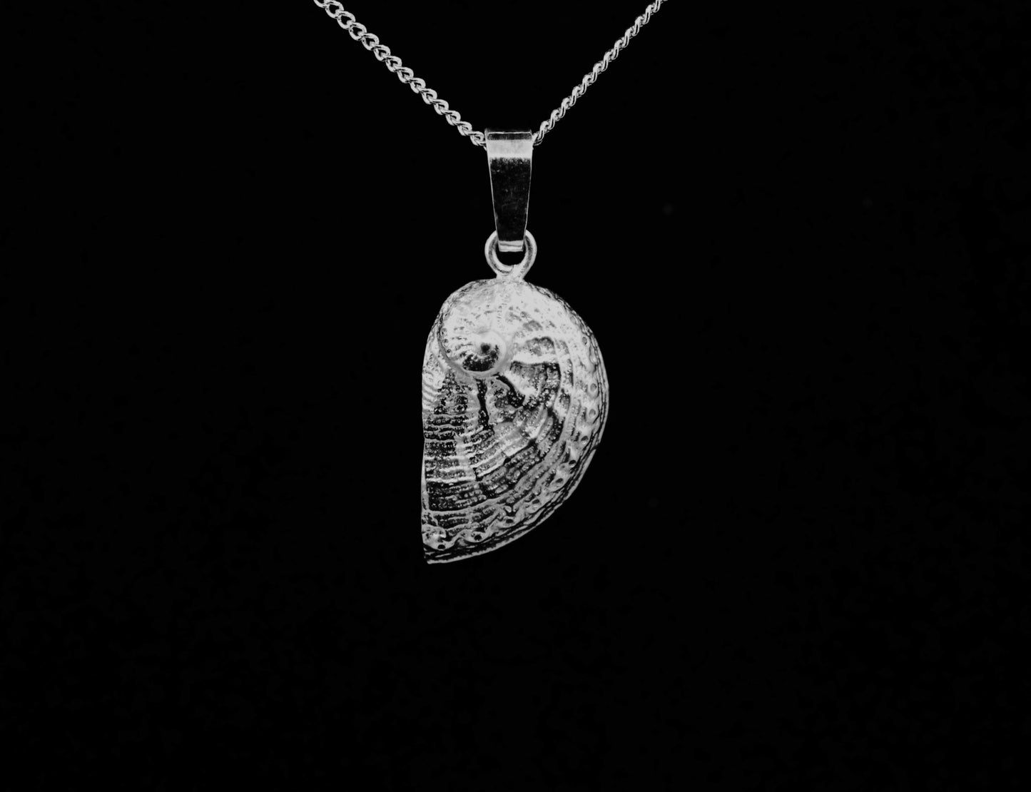 A sterling silver pendant in the shape of an abalone shell