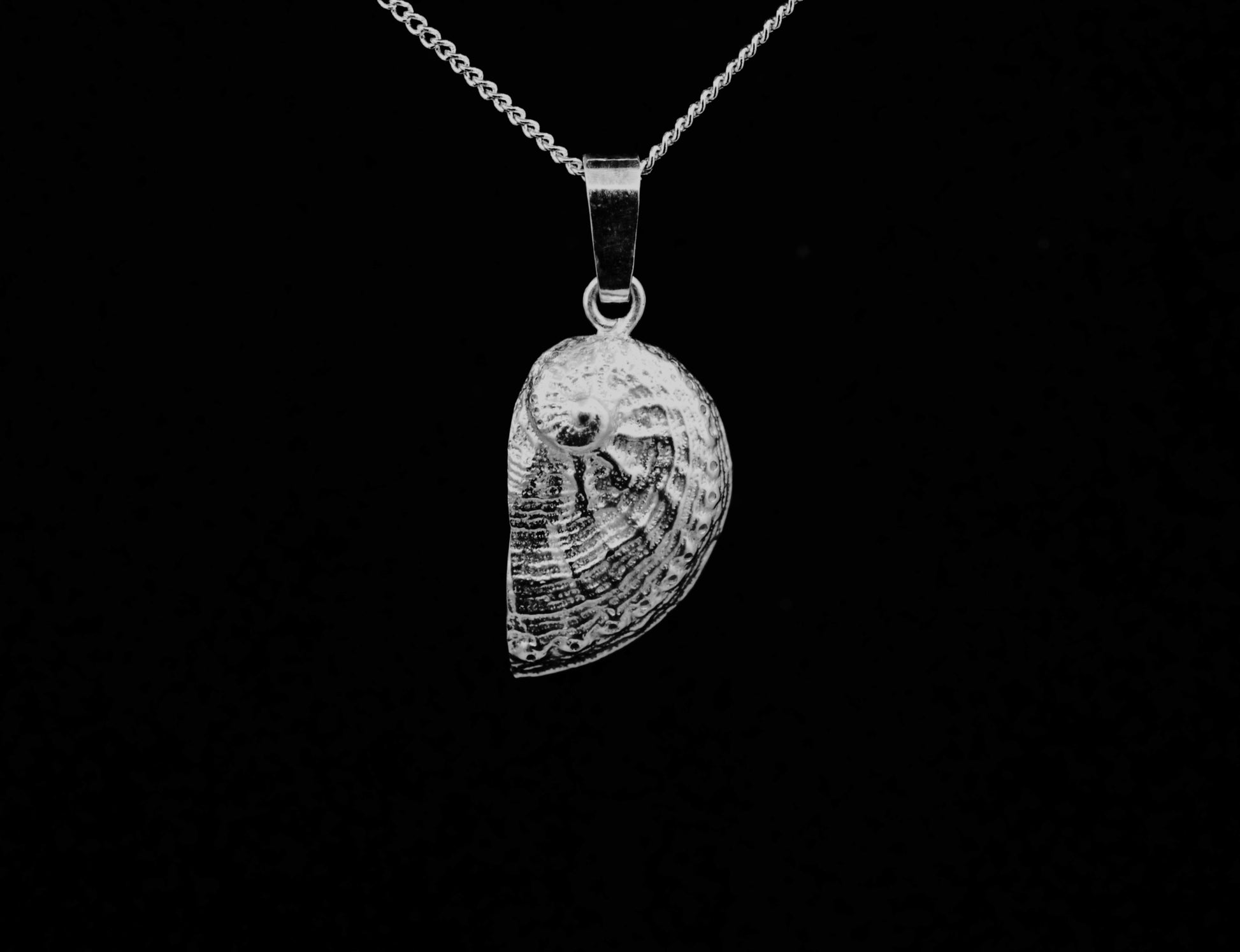 A sterling silver pendant in the shape of an abalone shell