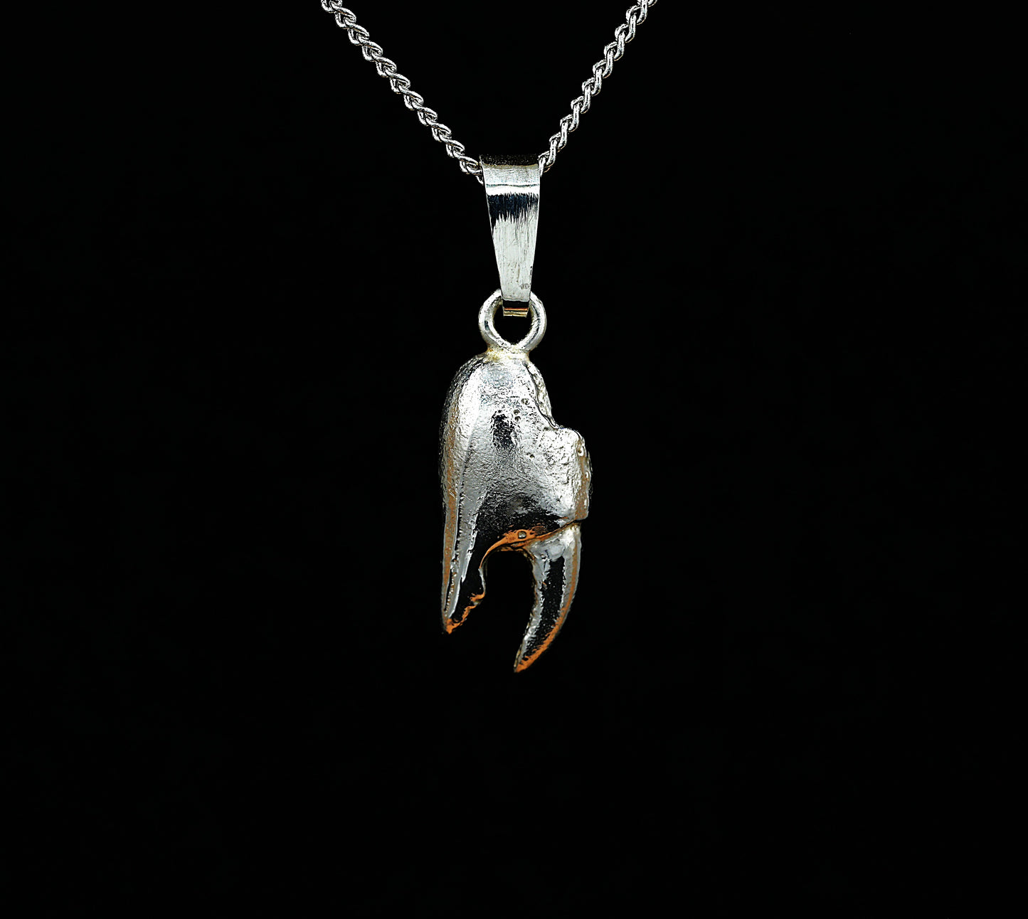 A sterling silver pendant in the shape of a crab claw