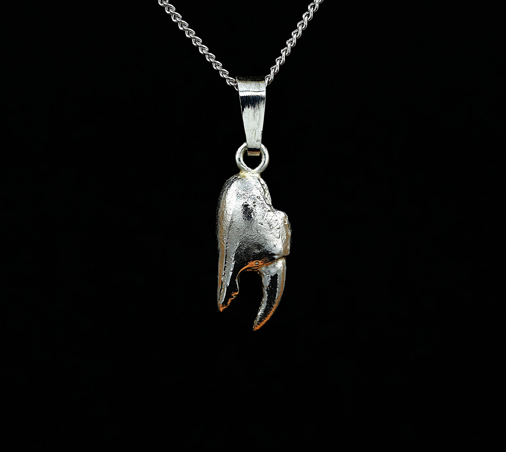 A sterling silver pendant in the shape of a crab claw