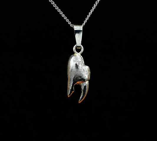 A sterling silver pendant in the shape of a crab claw